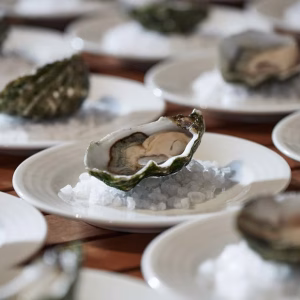 Stanley-Tarkine-Forage-oyster